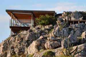 Little world among the stalks