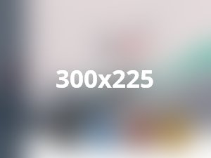 Vivamus elementum semper