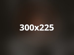 Aenean massa ridiculus