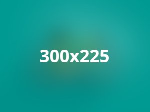 Pellentesque habitant