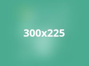 Nulla consequat massa