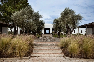 Copy of Little world among the stalks