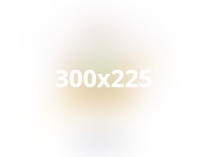 Eleifend felis pretium