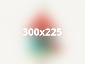 Pellentesque habitant tristique