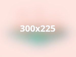 Aenean commodo ligula